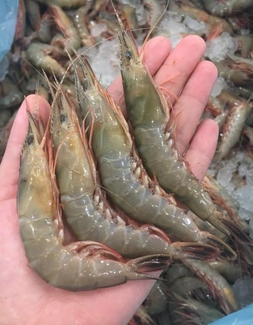  告诉|吃虾之前，到底要不要去虾线？老厨师告诉你答案，别再吃错了