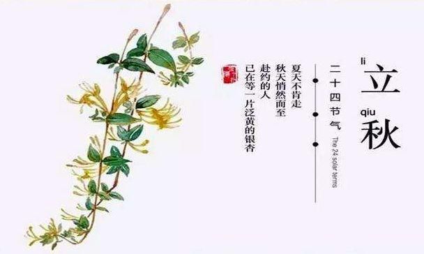  今日|时令 | 今日立秋！还会热吗？