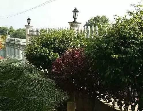 农村|去男友乡下老家,他说的茅草房原来是别墅,感觉自己赚翻了