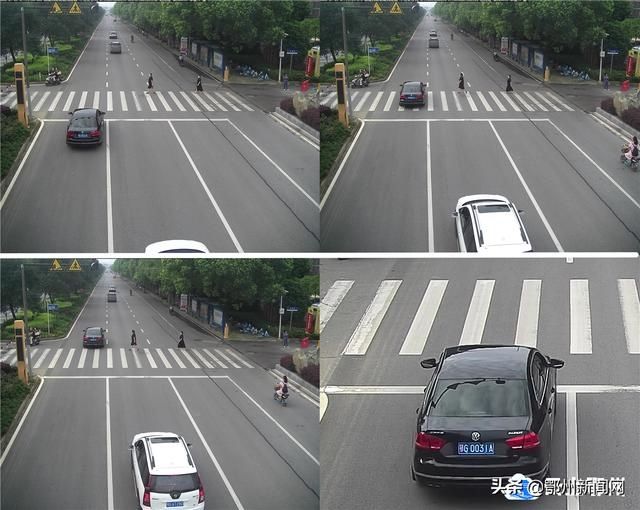 鄂州|不礼让行人？鄂州又一批车辆集中曝光