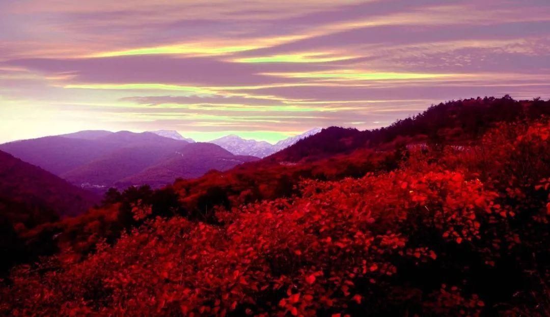 空中画廊|万山红遍！河北12个绝美秋景，邯郸的是这里！