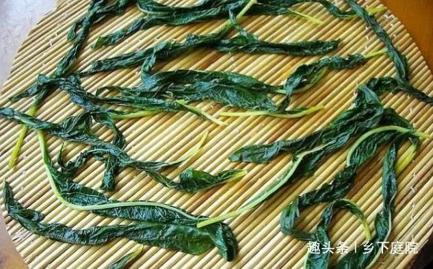  叶子|农村1种作物，多数人只知道种子大有作用，却把叶子浪费，可惜了