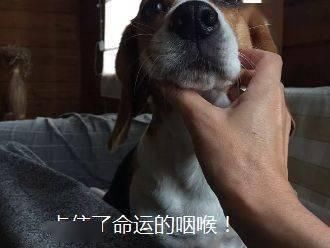  儿童|桂阳：儿童头卡护栏“无法自拨”，幸好有他