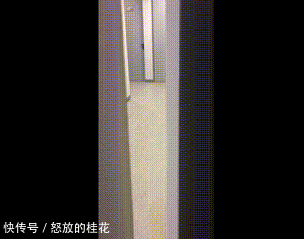 不服|搞笑GIF:我不服别的,就服这个演技