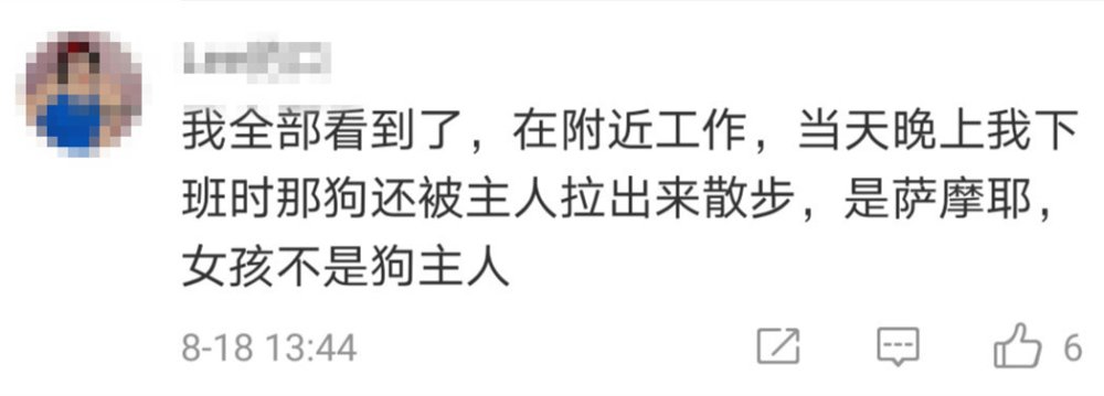  身亡|老人被狗绳绊倒后身亡，12岁遛狗女孩引热议，到底该谁来承担责任？