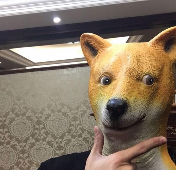  特别|林更新晒出自己的豪宅，头一次见全红木的厨房，做饭会特别香吗？