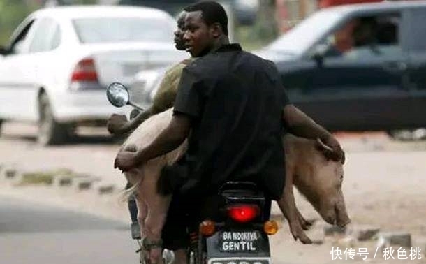 搞笑段子|趣味图片幽默段子:哈哈哈,大哥你穿成这样是怕引起熊猫误会吗