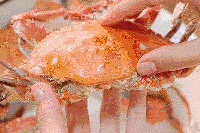 赶紧|@杭州人,赶紧到浙江这6座海岛吃个痛快!