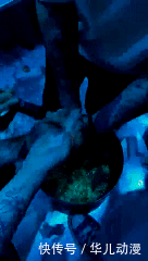  受害人|“发500返5000”！警惕“杀鱼盘”，专挑学生下手！已有人中招