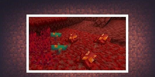 世界|我的世界MC登录界面再现“机翻”错误玩家想起“雷石东”！