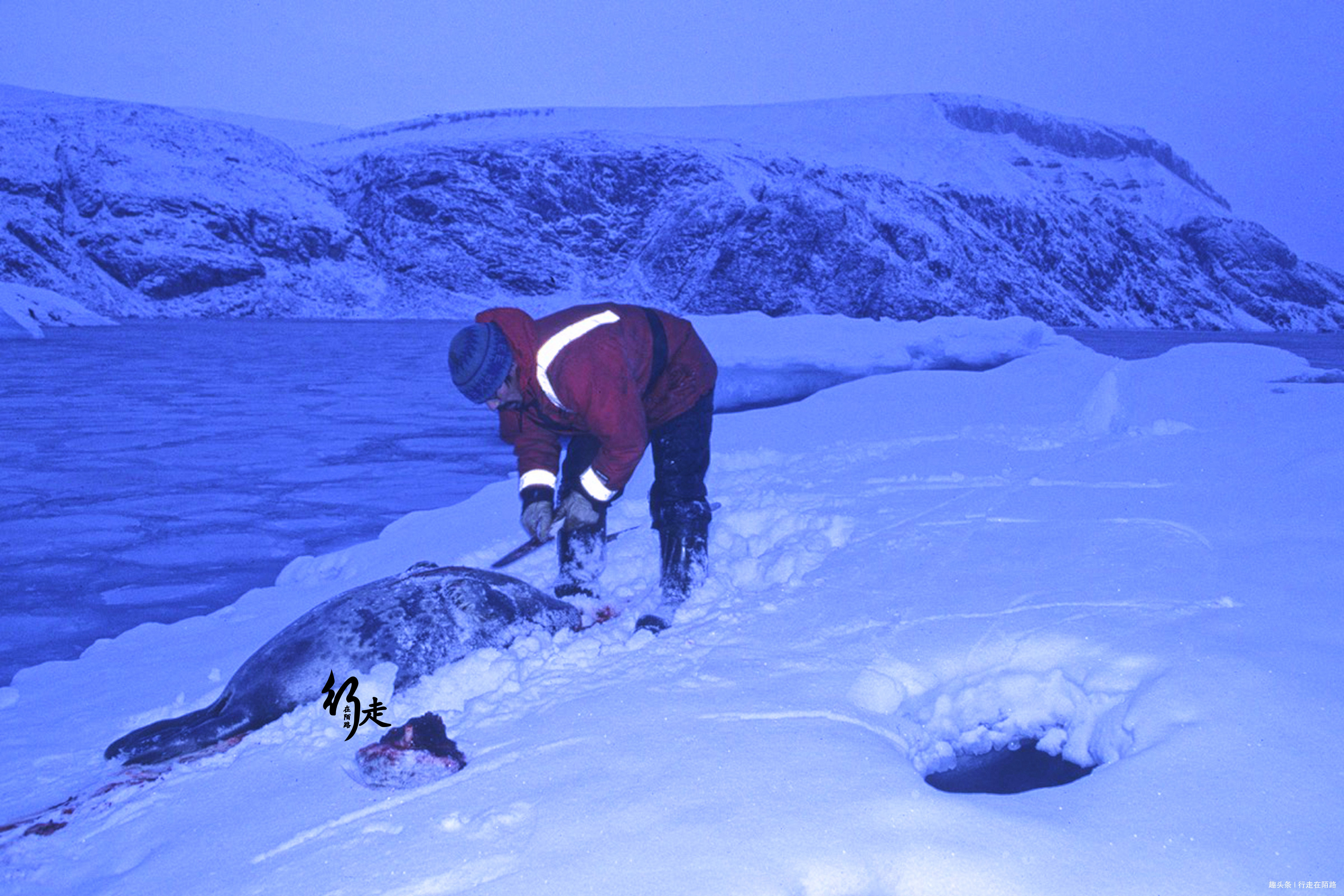 全球|全球最大行政区350万平方公里仅4万人口,8户人被骗57年