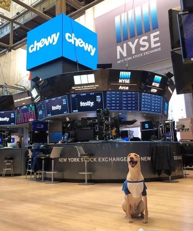 波奇网|波奇宠物冲刺美股：年亏1.76亿 高盛与招商银行为股东