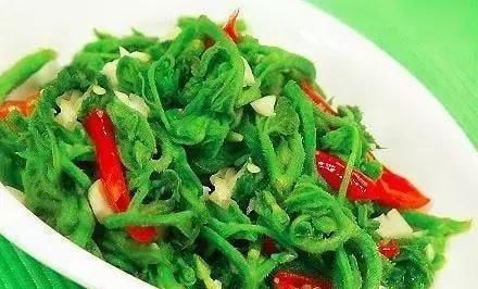  家常菜|美味营养的几道家常菜，清淡下饭，经济实惠，美味简单又营养