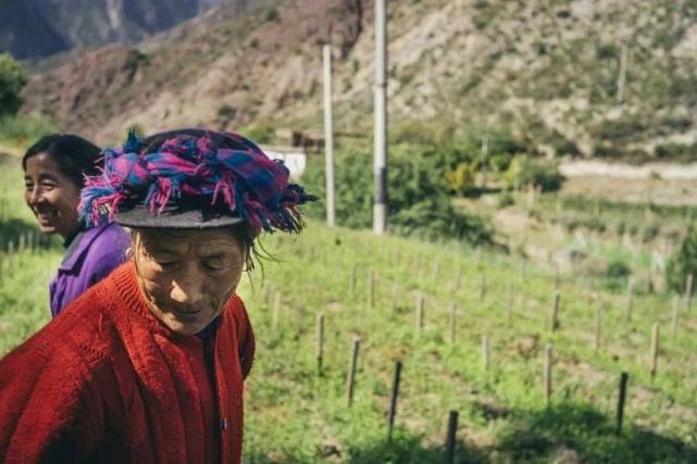  萝卜|好物推荐 | 营养与美味兼具，快来一碗酸萝卜老鸭汤！