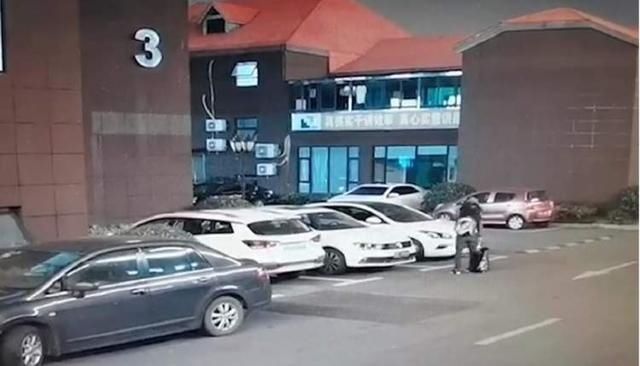  薛某|男子潜入宠物店偷走16只名贵小猫，3只小猫因眼睛受伤化脓死亡