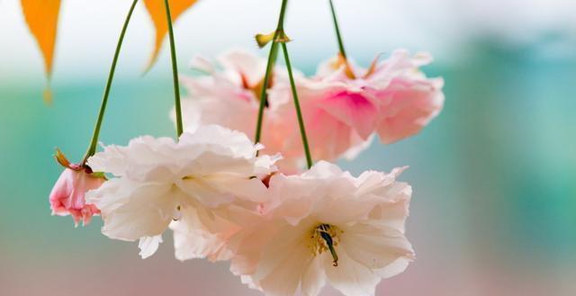 必读|发人深省的24句人生感悟句子,精辟入骨,一生必读