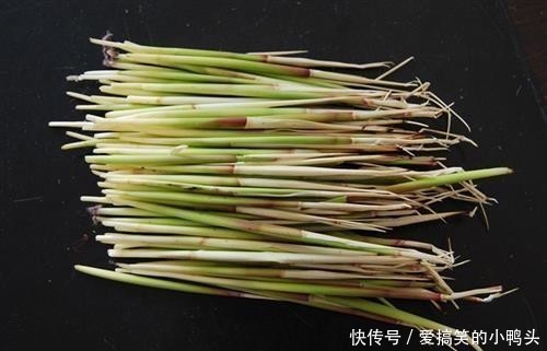 玩具|农村随处可见的茅针,小时候的玩具,想不到还有那么多用处