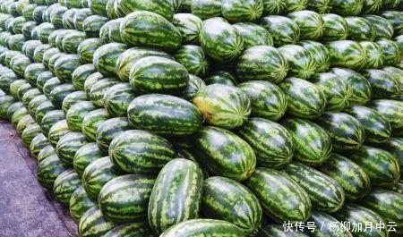 西瓜|爱吃瓜的你知道瓜是从哪里来的吗！