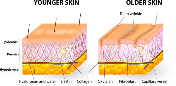 效果|抗老护肤品怎么用，效果最好？丨AD
