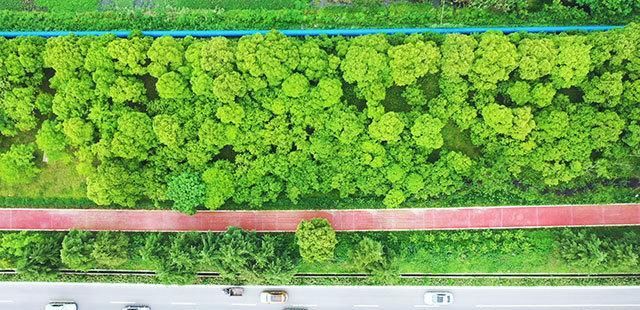  石头|从“灰脏秃”到“绿富美” 吴兴这个“石头村”大翻身