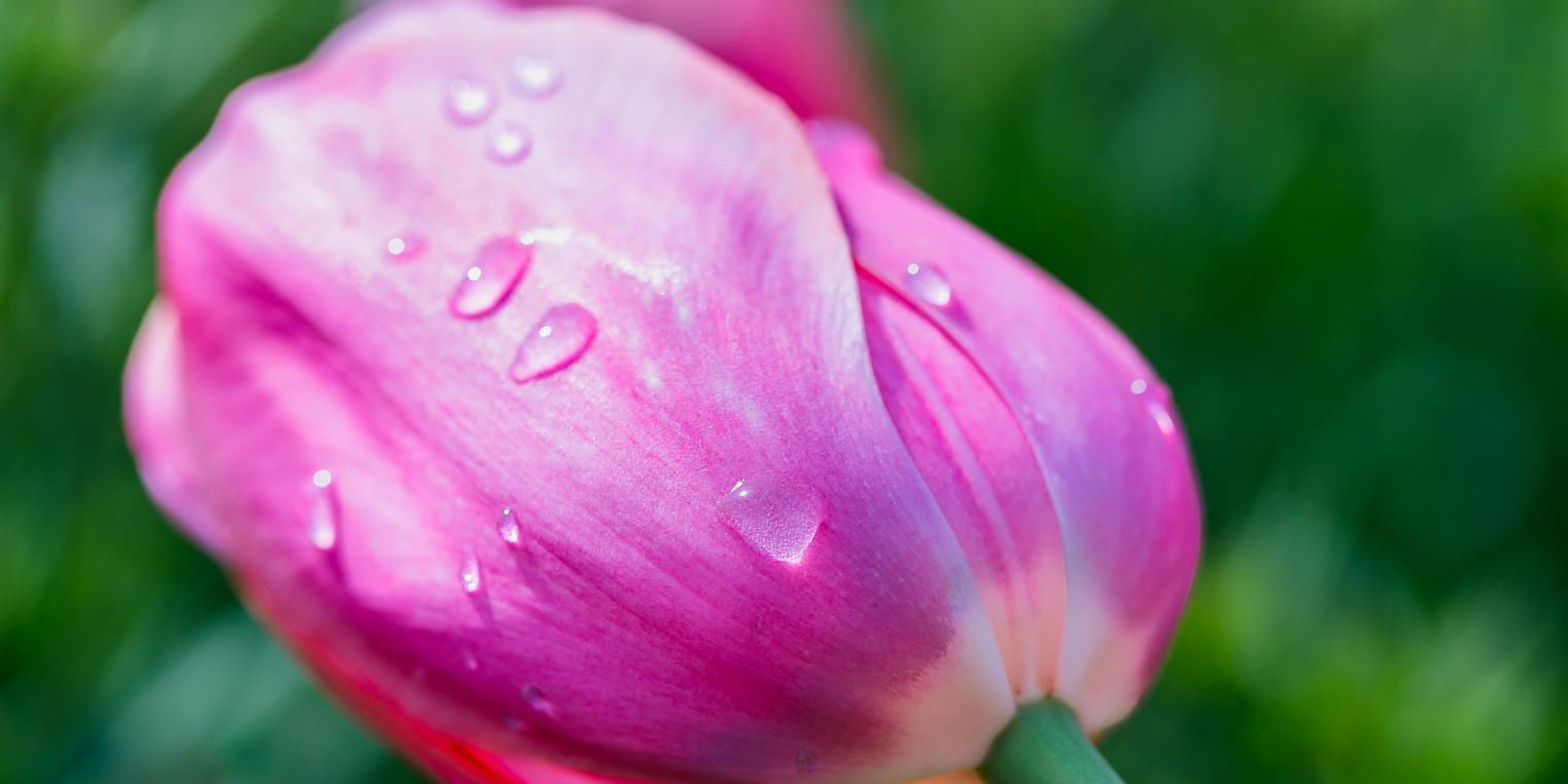 事业|7月份,升官发财的四个生肖,泰来否往,事业如鱼得水