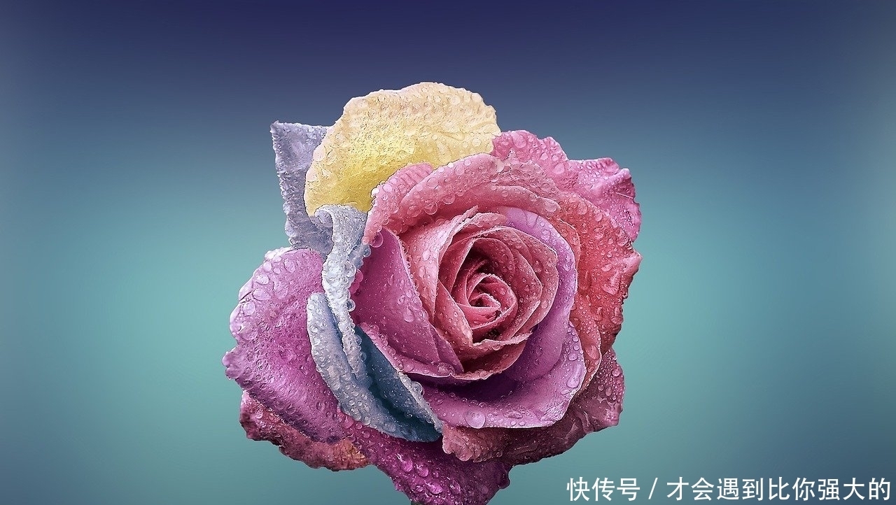 生活|老公给主播打赏,你怎么办?