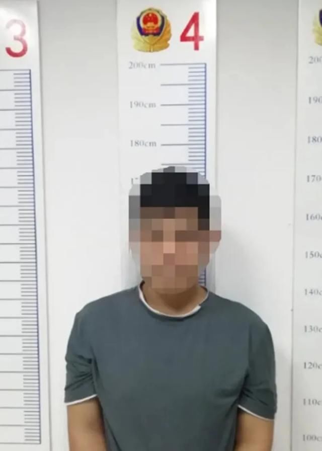  张女士|斩断！夏夜窗外的那只黑手