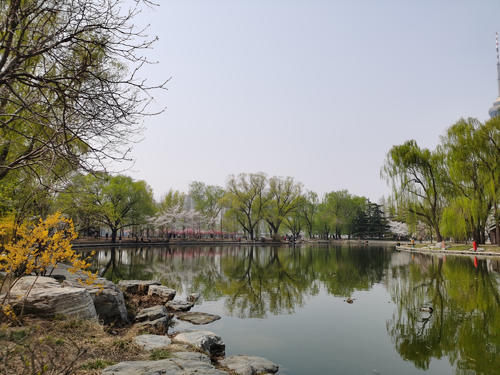 抵押贷款|男子网购10本房产证骗银行120万贷款，银行的三大责任难忽视