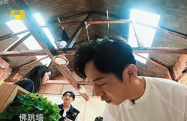 独特|陈赫现身《向往的生活4》?出场方式太独特,原谅我不厚道的笑了