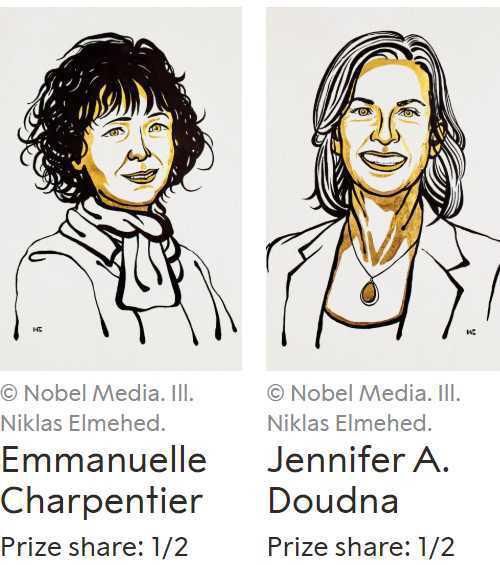 诺贝尔化学奖|2020年诺贝尔化学奖：基因编辑