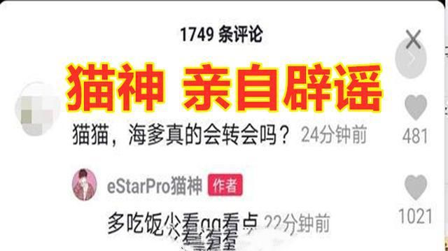  出面|花海将要转会？猫神亲自出面辟谣，eStar重组压力依旧很大
