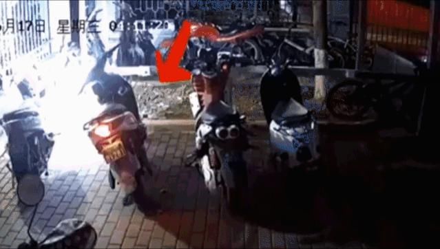  危险|“ 请留步，你的这种行为很危险！”