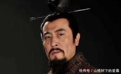 曹冲|三国死得最可惜的9位,第1位如果不死,就没有司马家族什么事了