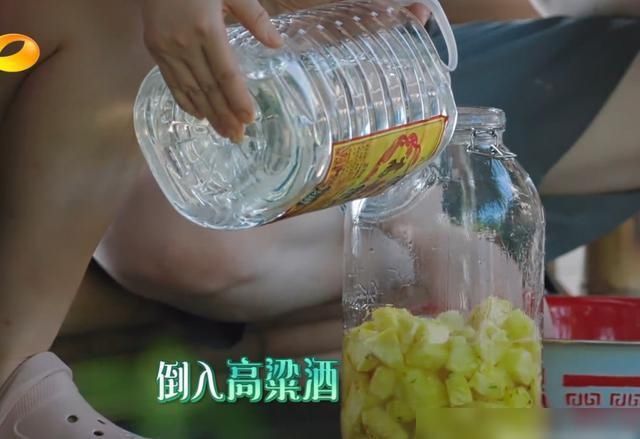  有无|《向往的生活》有无下一季？宋丹丹酿菠萝酒，何炅第一反应引热议