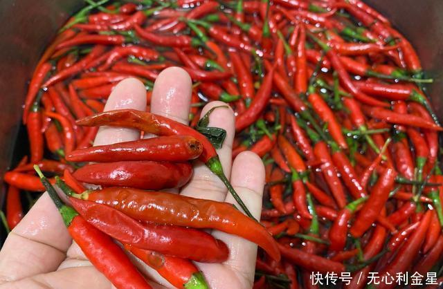 劣质的小米|68岁大叔靠摆地摊卖辣椒酱,养活一家5口,向他讨教配方分享出来