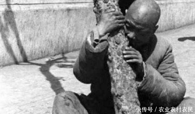 为啥|古代饥荒时,难民吃土吃草皮,为啥没听说吃鱼虾其实古人也不傻