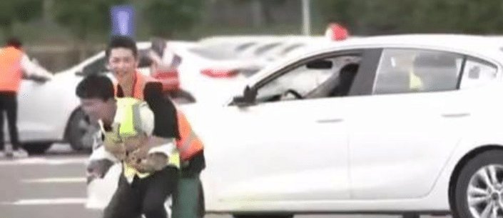  直呼|周深被迫“营业”, 惨遭小鬼腾空抱起! 网友直呼看到了“自己”