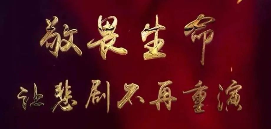  警示|警示教育｜鄠邑区曝光5起交通事故案例，都是血淋淋的教训！