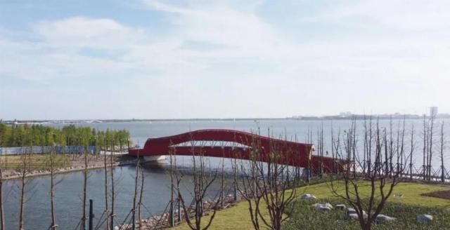  网红|【探索】滴水湖4座“网红”景观桥亮灯啦！快来先睹为快