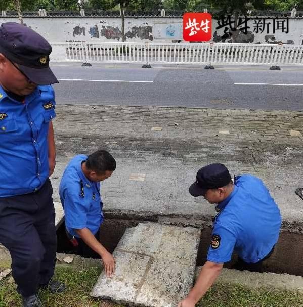  城管|下水道上方百余斤水泥石板脱落，城管队员徒手复位
