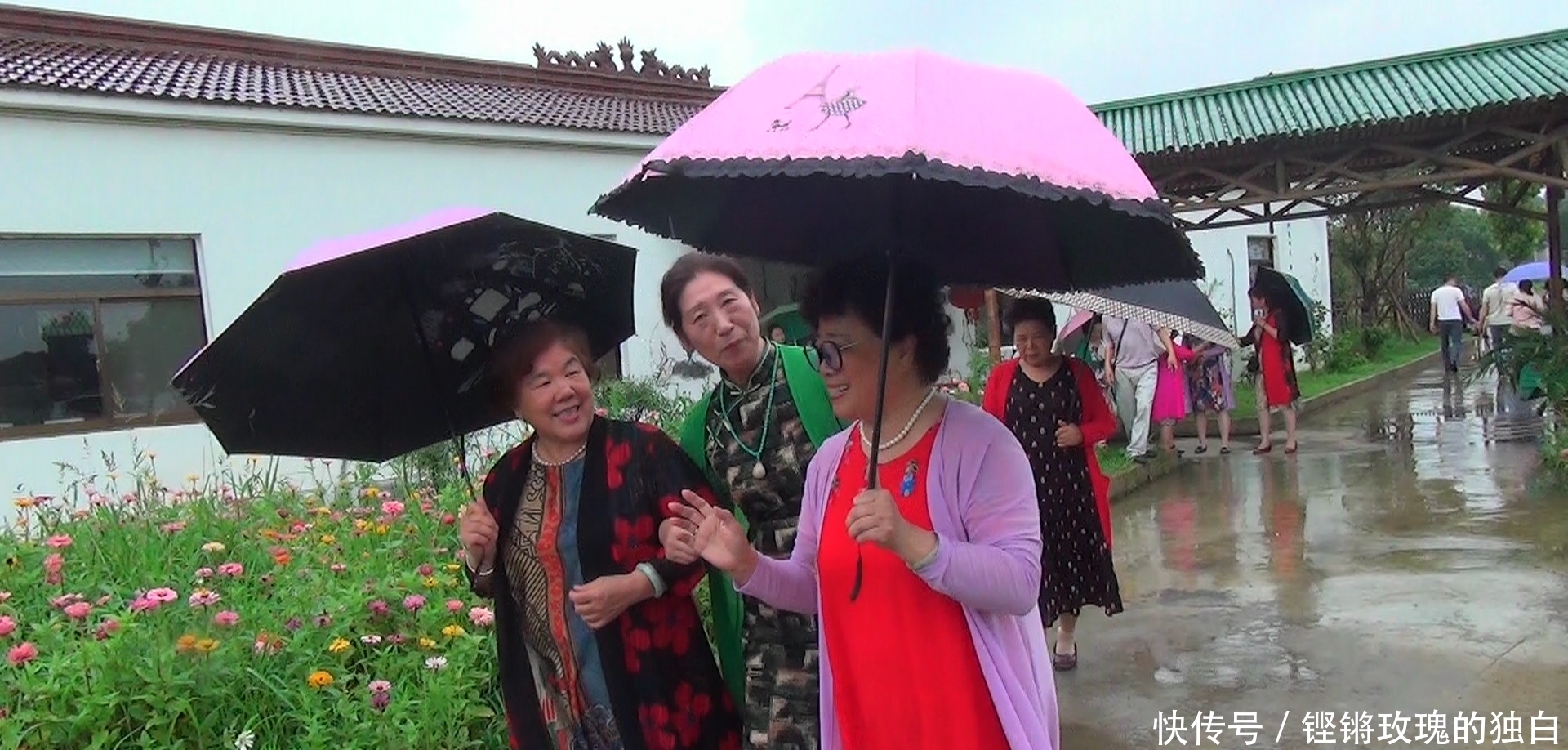 八中|马鞍山八中74届高中女生模特团:南京江宁竹庄生态园雨中走秀(音乐相册)