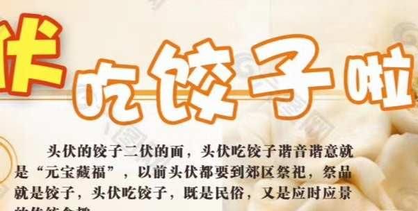  吃饺子|吃过了头伏饺子二伏你准备吃哪种面？