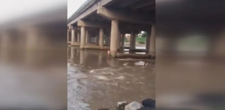  溺水|外地人在青衣江遇险，11岁峨眉娃溺水生死攸关之时多亏他们