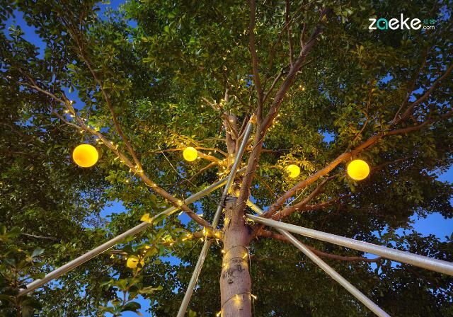  X50|vivo X50 Pro+ 拍照专项评测：强悍如此，堪称炫技