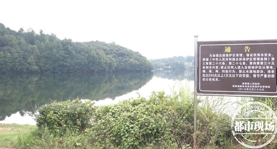  水库|又一起悲剧！这样的微信真不想再发了！ 家长一定要警醒！