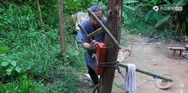  木头|继李子柒后，63岁木工大爷火爆外网，他凭什么月入60万？