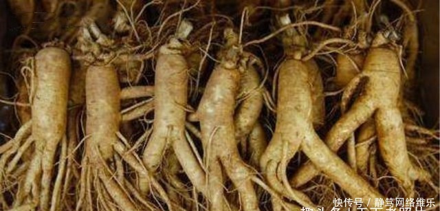 皇帝|这位大臣天天吃清水煮白菜,皇帝得知实情后,下令满门抄斩