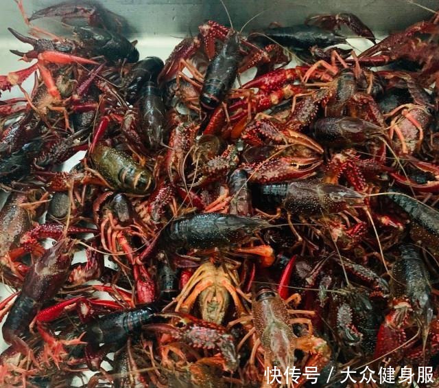 小龙虾|麻辣小龙虾和蒜蓉小龙虾,好吃到吮指