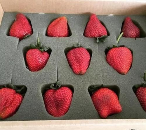 可乐|“过度包装”能有多狠可乐带包装还没啥,看到最后的橘子过分了