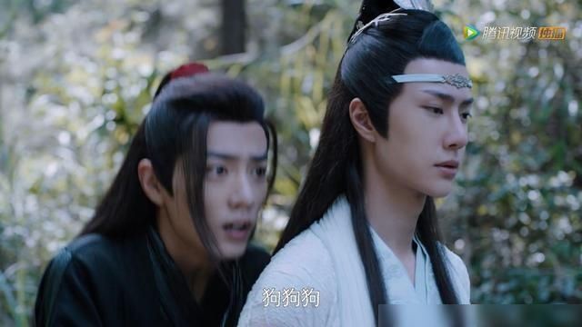 听到狗叫|陈情令十六年后,含光君性情大变,魏婴只靠一下,蓝湛都会偷笑